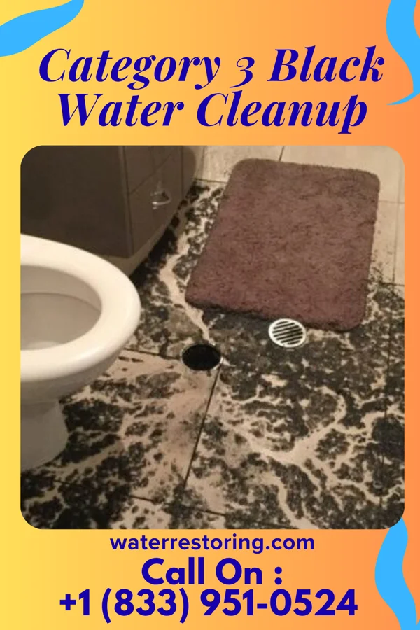 Category 3 Black Water Cleanup in Greeneville, TN