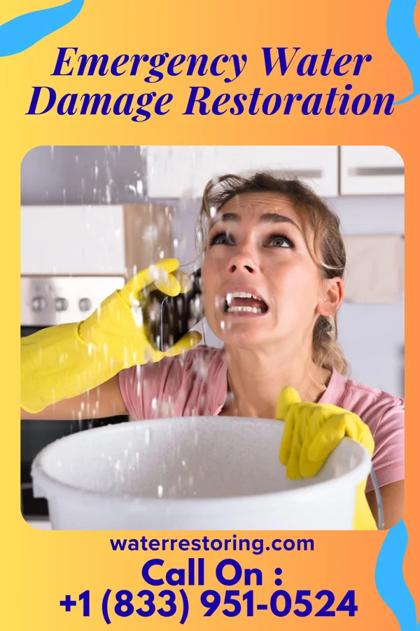 Emergency Water Damage Restoration in Greeneville, TN