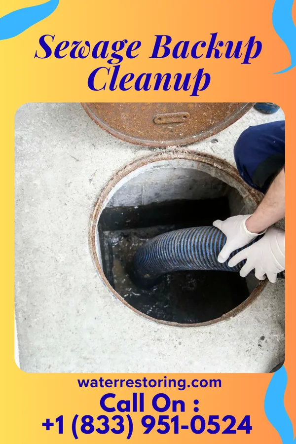 Sewage Backup Cleanup in Greeneville, TN